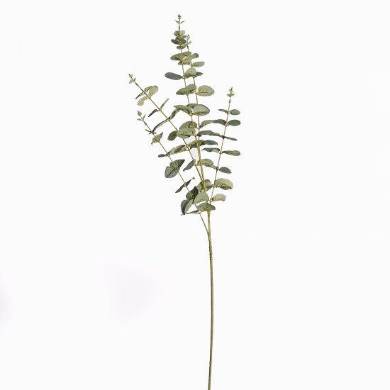 Supergreens Τεχνητό Κλαδί Ευκάλυπτος Cinera x5 Πρά